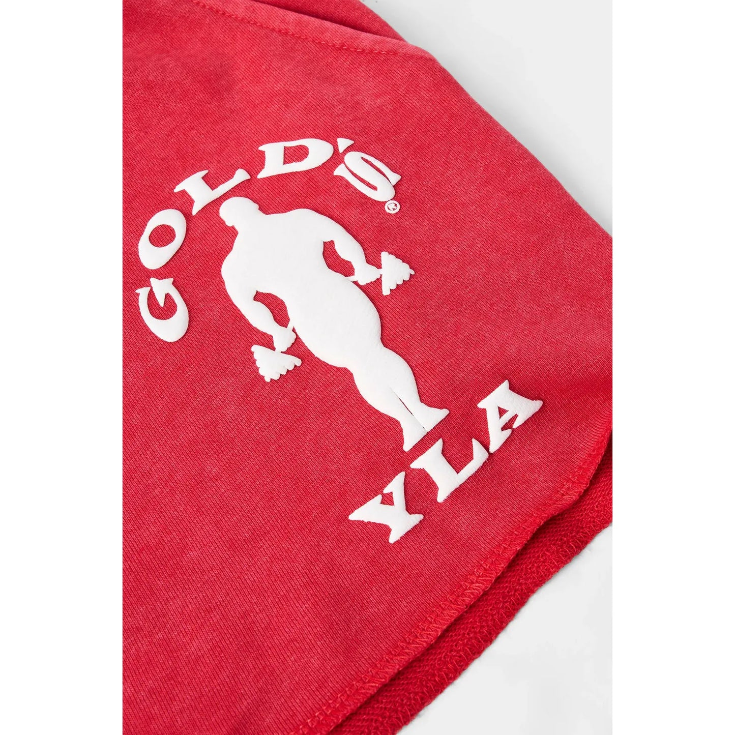 1132 - GOLDS GYM BODYBUILDING SHORTS