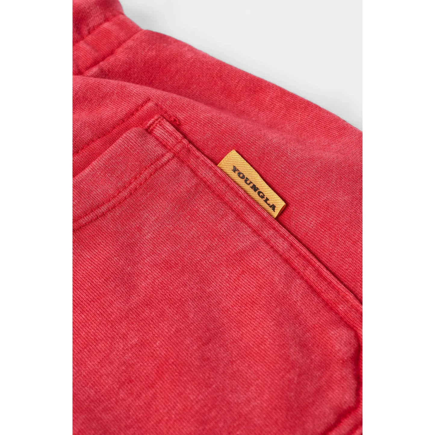 1132 - GOLDS GYM BODYBUILDING SHORTS