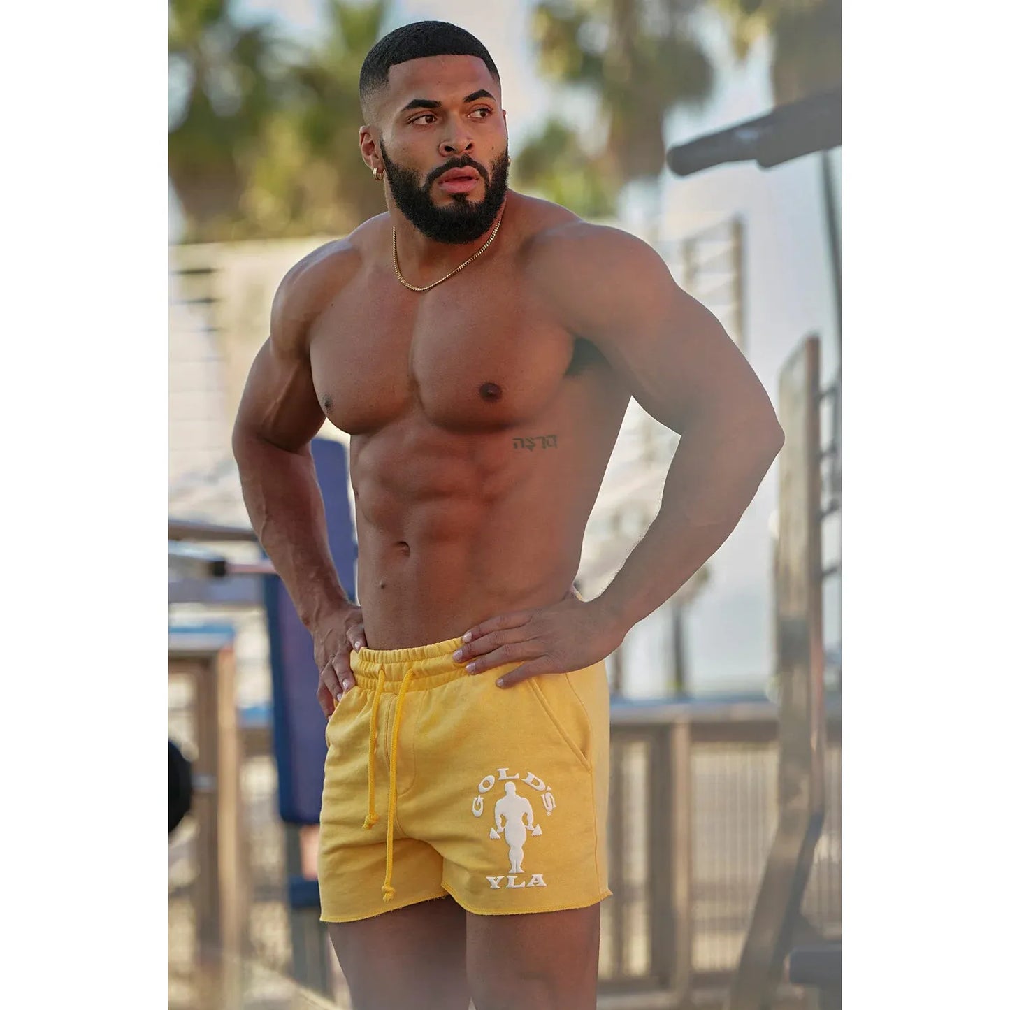 1132 - GOLDS GYM BODYBUILDING SHORTS