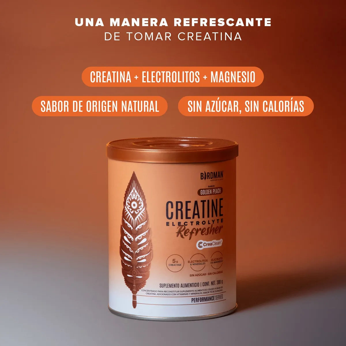 CREATINE REFRESHER 30 SERV - Suplefit Mx