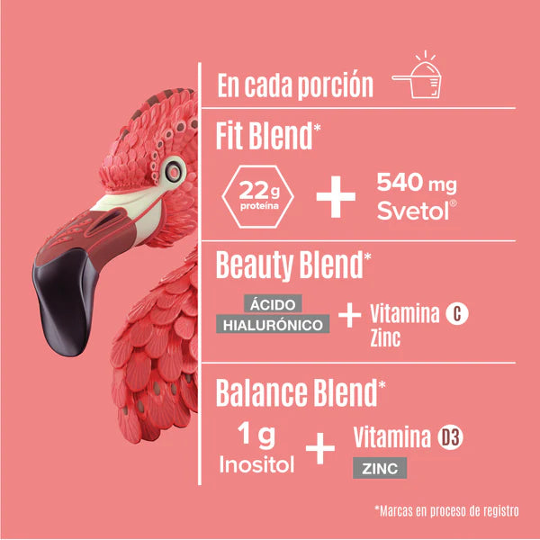 FITMINGO 1.02 KG - Suplefit Mx
