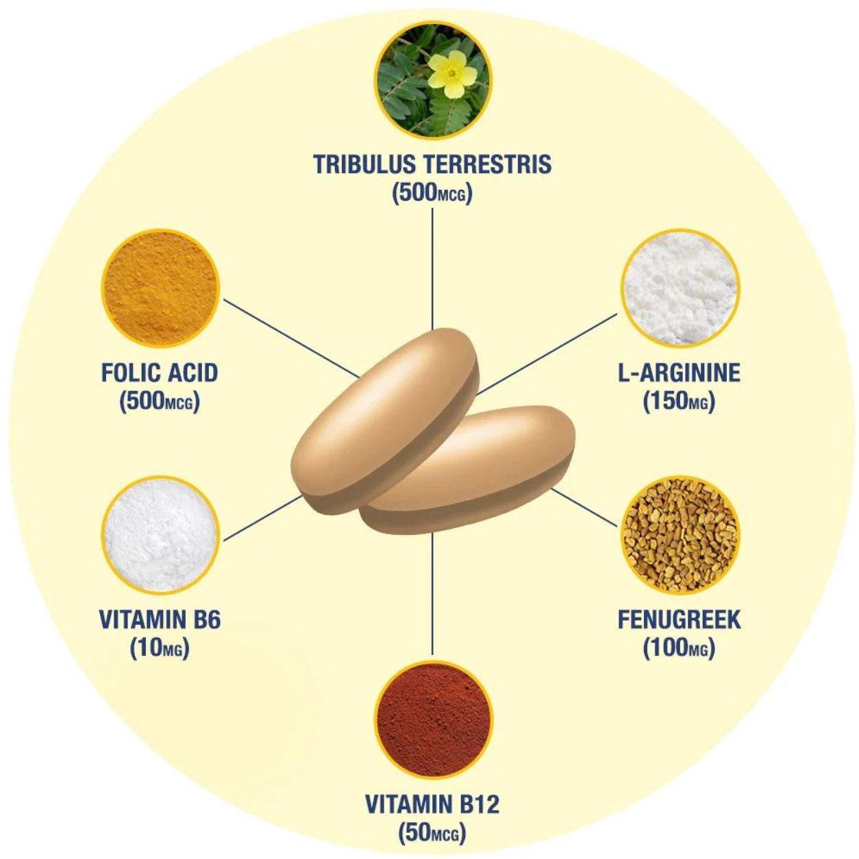 Testrol Gold ES - Suplefit Mx