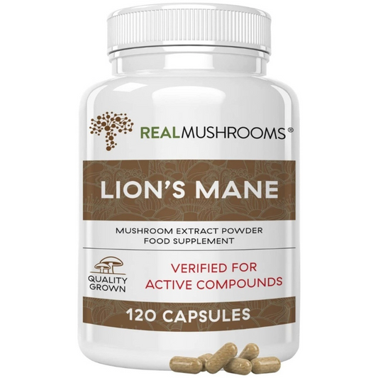 Lions Mane - Suplefit Mx
