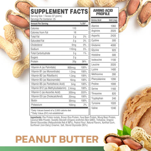 Vegan Protein 25 servicios