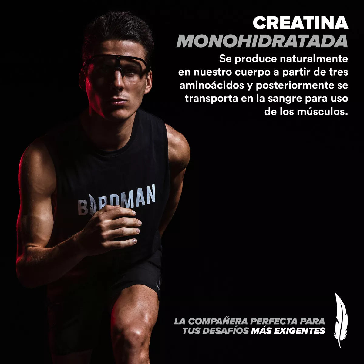 Creatina Monohidratada de Alta Pureza 450 gr